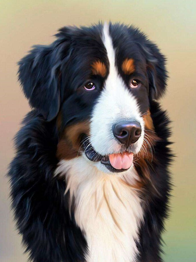 Berner-Senner Diamond Painting kit | Topkwaliteit & Snelle Levering | Bestel Vandaag