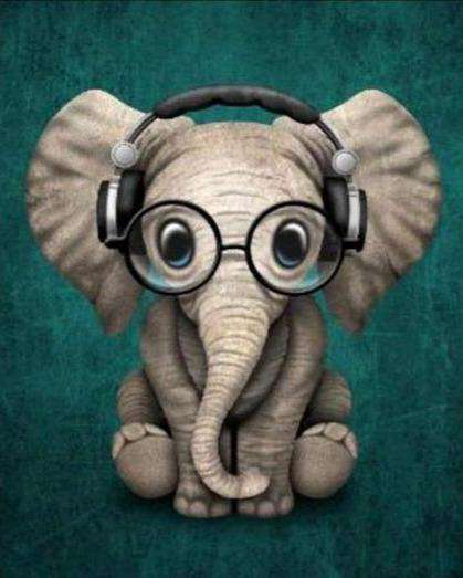 Coole Olifant diamond painting ontwerp