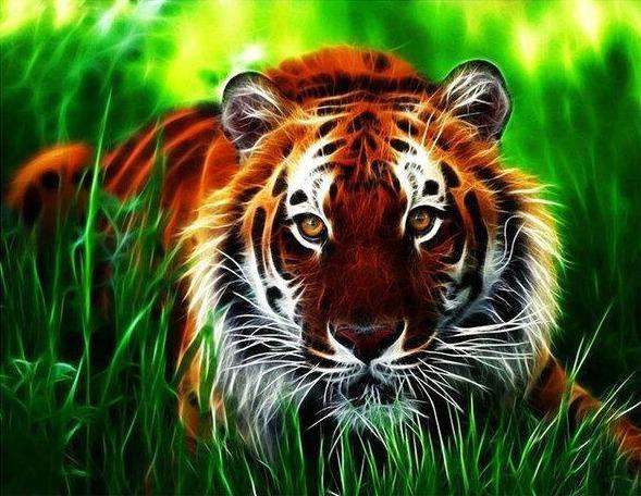 Bengaalse Tijgerin diamond painting ontwerp