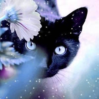 Thumbnail for Zwarte Poes diamond painting ontwerp