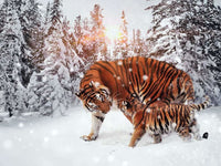 Thumbnail for Diamond Painting Begaalse tijger in de sneeuw met Ronde steentjes 80x100cm - Beste Kwaliteit