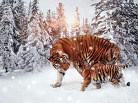 Thumbnail for Begaalse tijger in de sneeuw diamond painting ontwerp