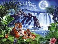 Thumbnail for Diamond Painting Tijgers bij de waterval met Ronde steentjes 80x100cm - Beste Kwaliteit