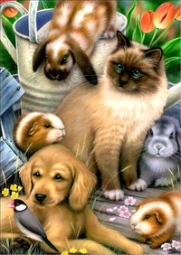 Thumbnail for Huisdieren diamond painting ontwerp