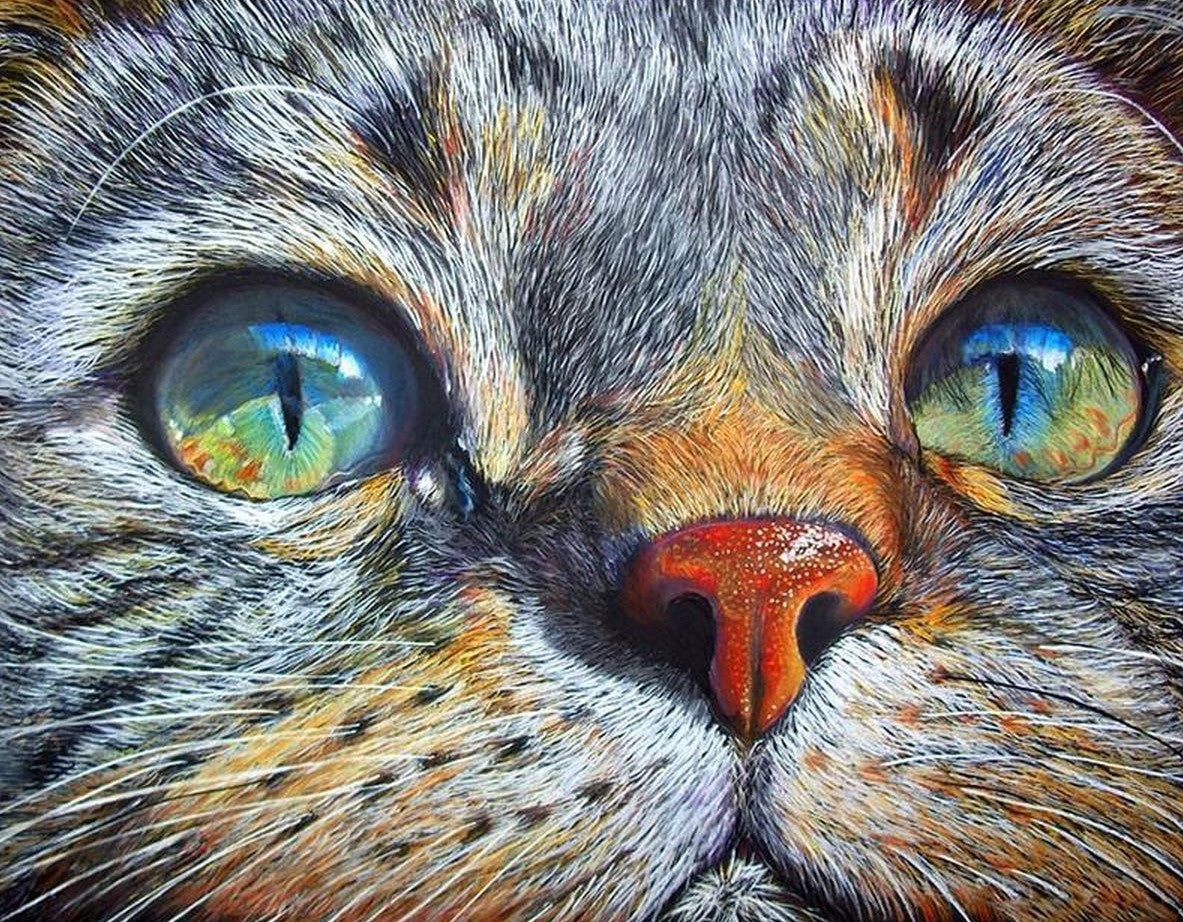 Katten Ogen diamond painting ontwerp