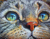 Thumbnail for Diamond Painting Katten Ogen met Ronde steentjes 100x80cm - Beste Kwaliteit