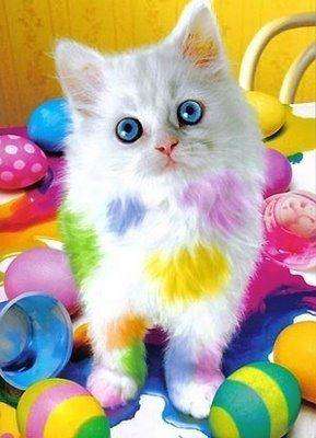 Pasen kat diamond painting ontwerp