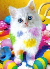 Thumbnail for Pasen kat diamond painting ontwerp