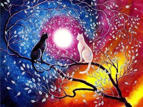 Diamond Painting Twee katten bij maan met Ronde steentjes 80x100cm - Beste Kwaliteit