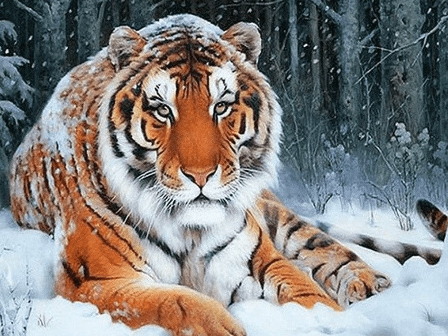 Diamond Painting Sneeuwtijger met Ronde steentjes 80x100cm - Beste Kwaliteit