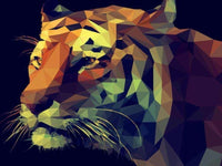 Thumbnail for Diamond Painting Kleuren tijger tekening met Ronde steentjes 80x100cm - Beste Kwaliteit