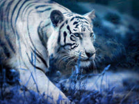 Thumbnail for Lopende witte tijger diamond painting ontwerp