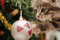 Thumbnail for Kitten speelt met kerstbal diamond painting ontwerp