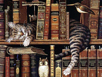 Thumbnail for Slapende kat diamond painting ontwerp