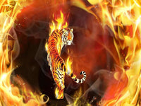 Thumbnail for Diamond Painting Tijger in vuur met Ronde steentjes 80x100cm - Beste Kwaliteit