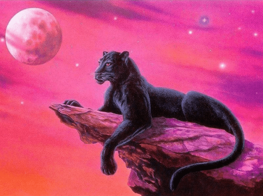 Zwarte panter op rots diamond painting ontwerp