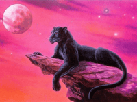 Thumbnail for Zwarte panter op rots diamond painting ontwerp