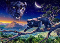 Thumbnail for Diamond Painting Panter op een boom en in de lucht met Ronde steentjes 80x100cm - Beste Kwaliteit