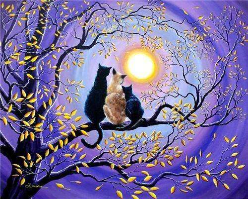 Katten bij maanlicht diamond painting ontwerp