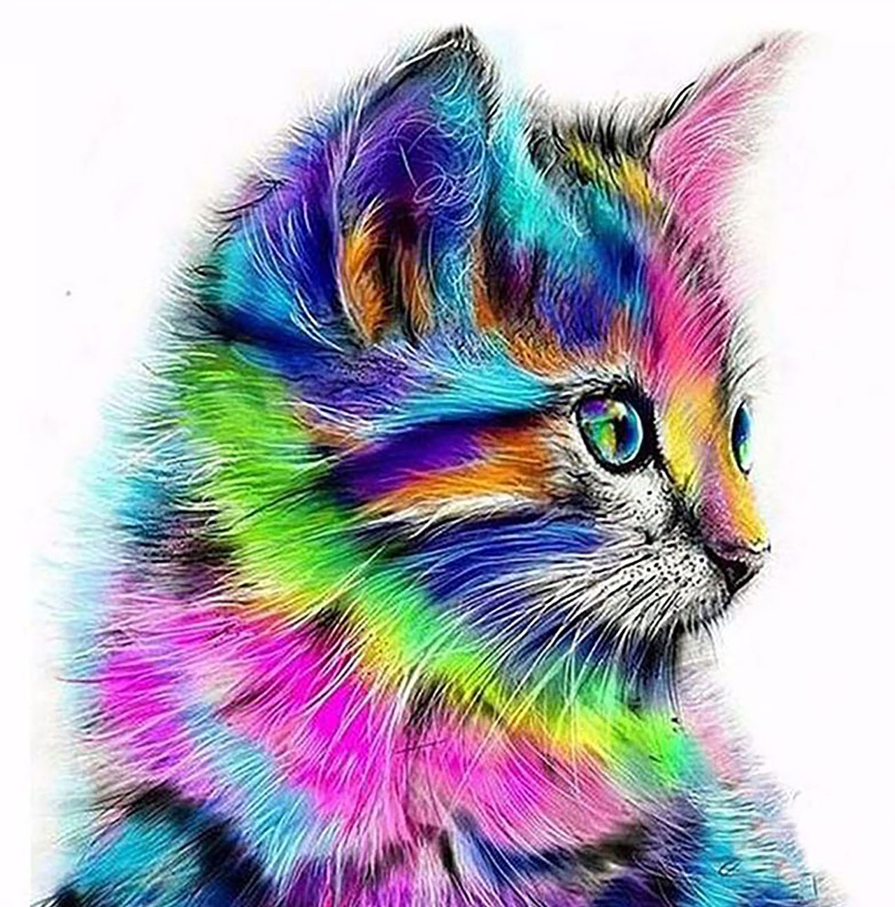 Kleurrijke kat diamond painting ontwerp
