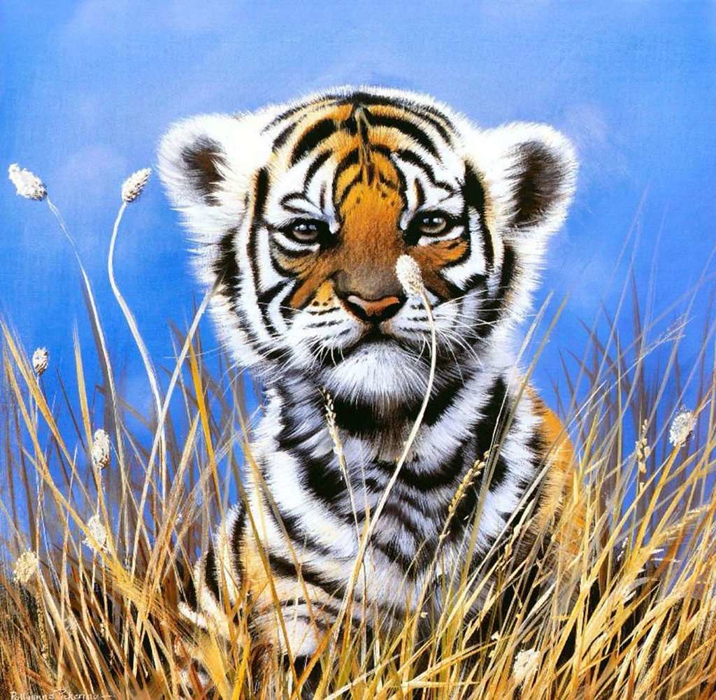 Diamond Painting Kleine nieuwschierige tijger met Ronde steentjes 100x100 - Beste Kwaliteit