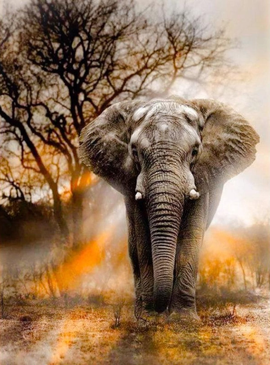 Olifant diamond painting ontwerp