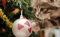 Thumbnail for Kitten en kerstbal diamond painting ontwerp