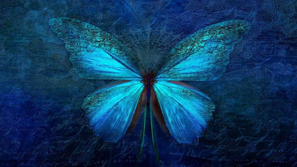 Blauwe Vlinder Paarse vlinder diamond painting ontwerp