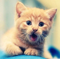Thumbnail for Kitten diamond painting ontwerp