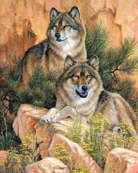 Thumbnail for Wolven op een rots diamond painting ontwerp