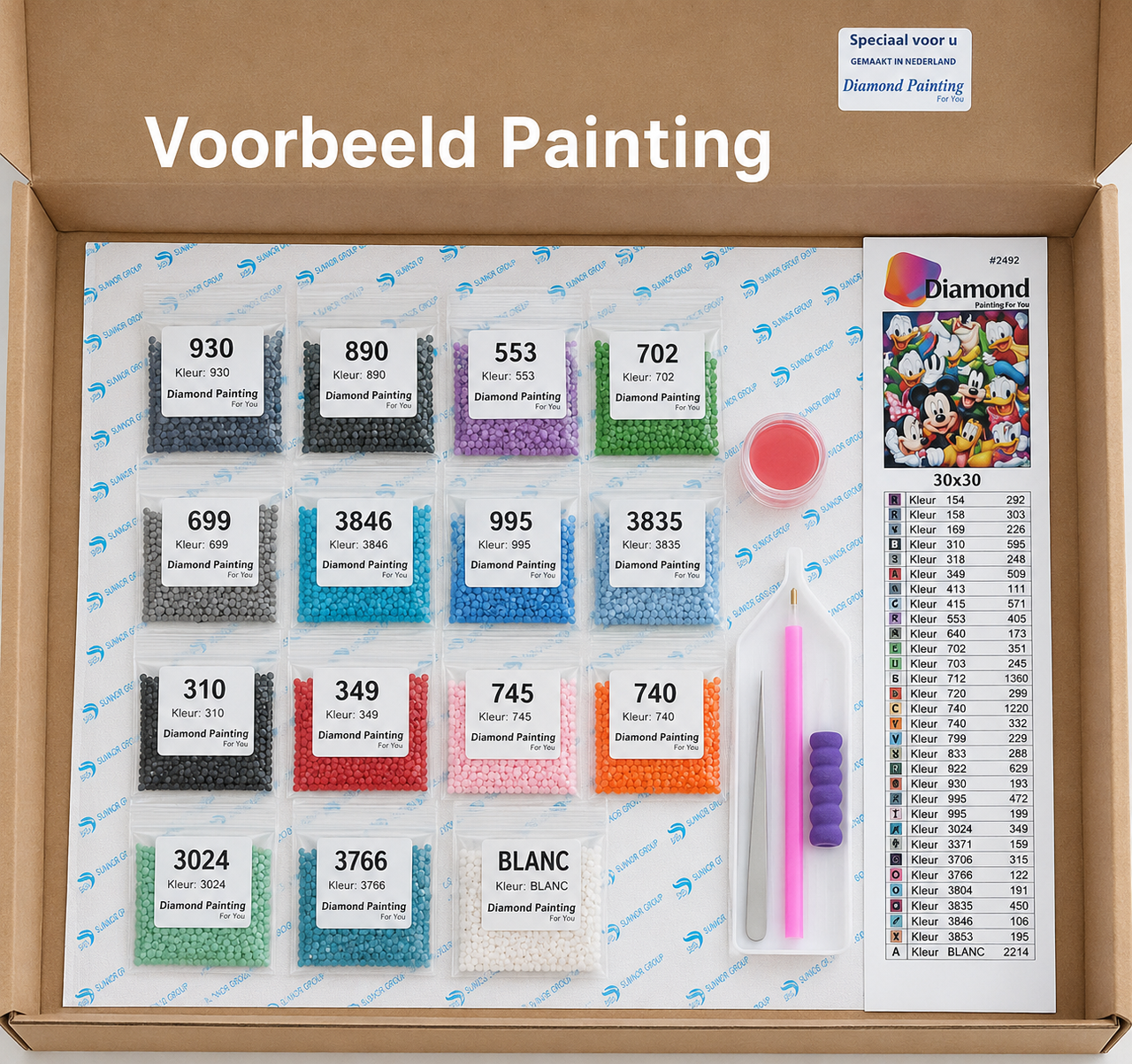 Compleet cartoon diamond painting pakket met canvas steentjes en accessoires