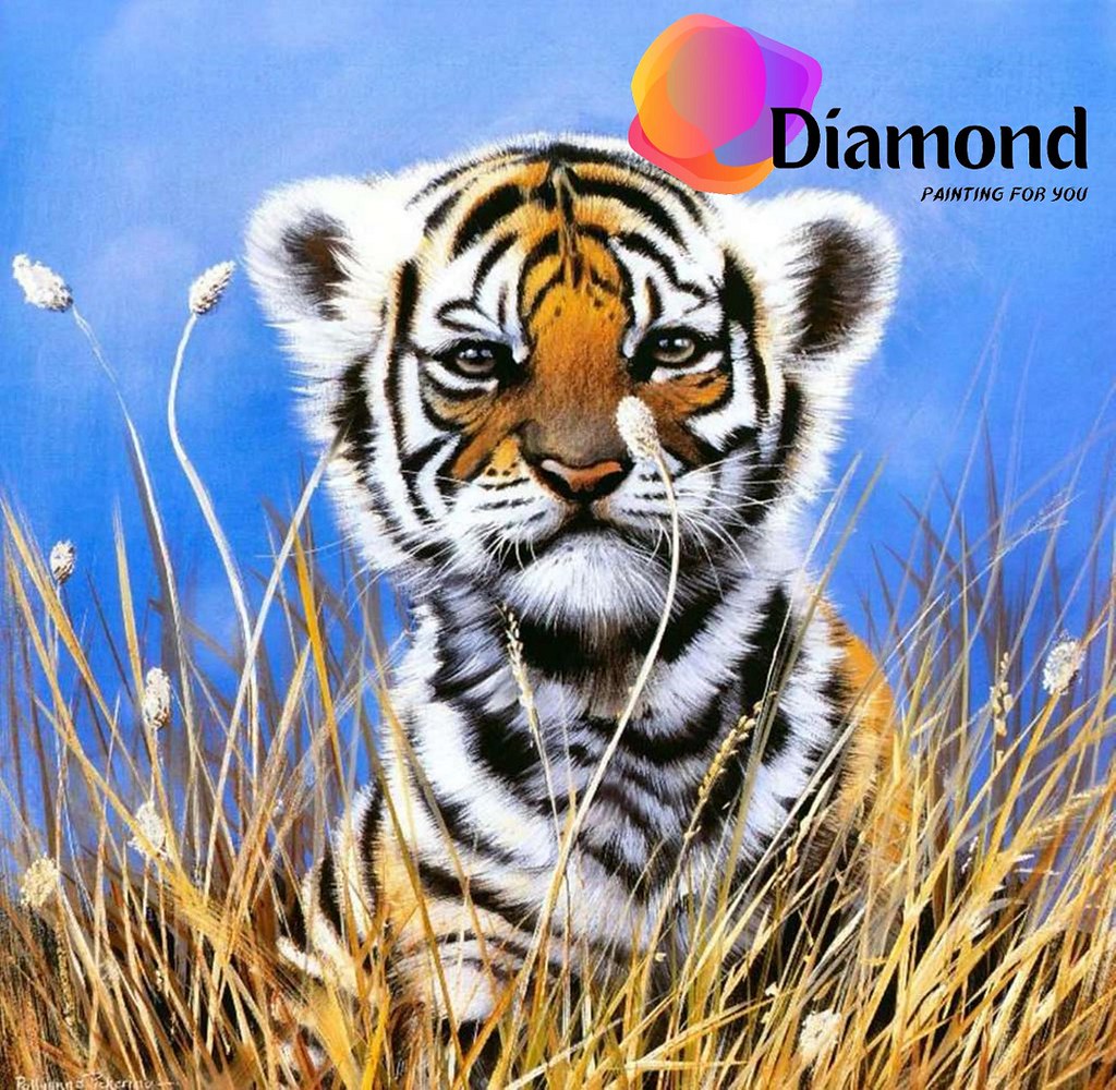 Kleine nieuwschierige tijger Diamond Painting for you