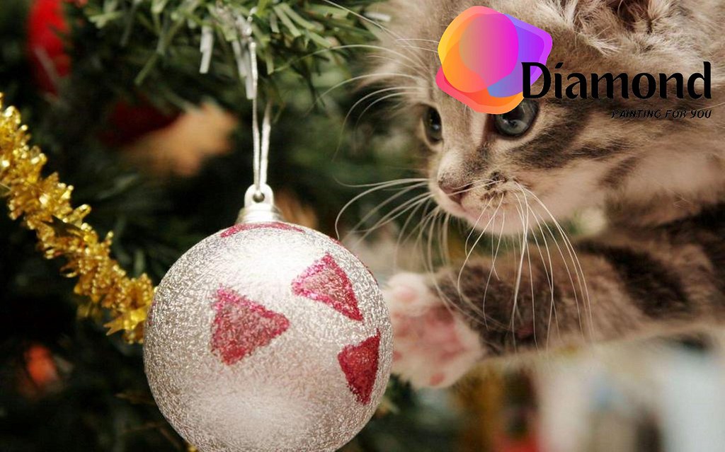 Kitten en kerstbal Diamond Painting for you