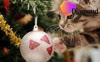Thumbnail for Kitten en kerstbal Diamond Painting for you