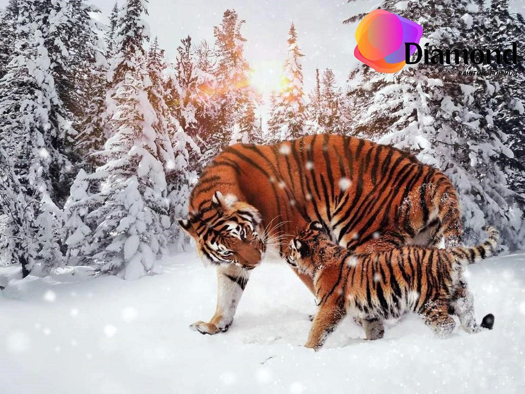 Begaalse tijger in de sneeuw Diamond Painting for you
