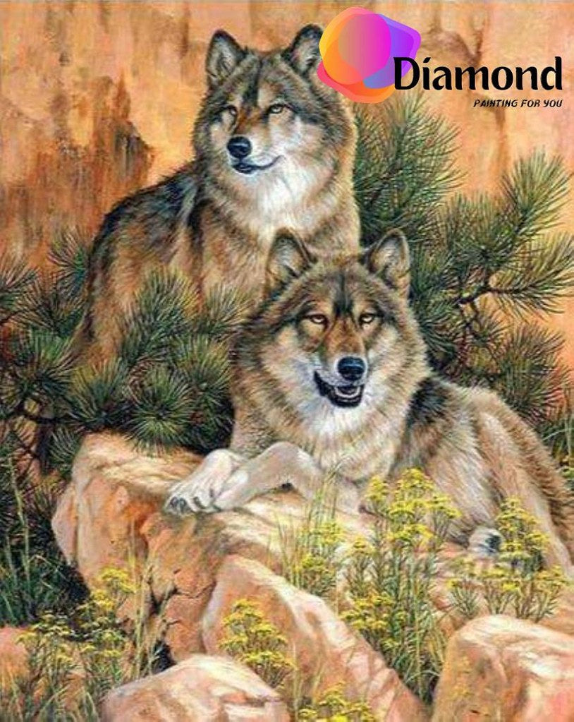Wolven op een rots Diamond Painting for you