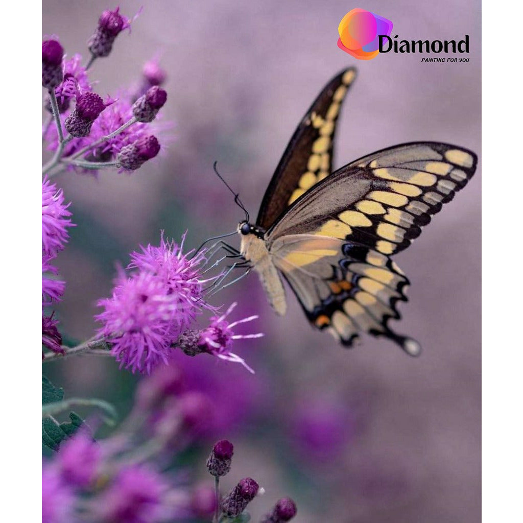 Vlinder op paarse bloem Diamond Painting for you