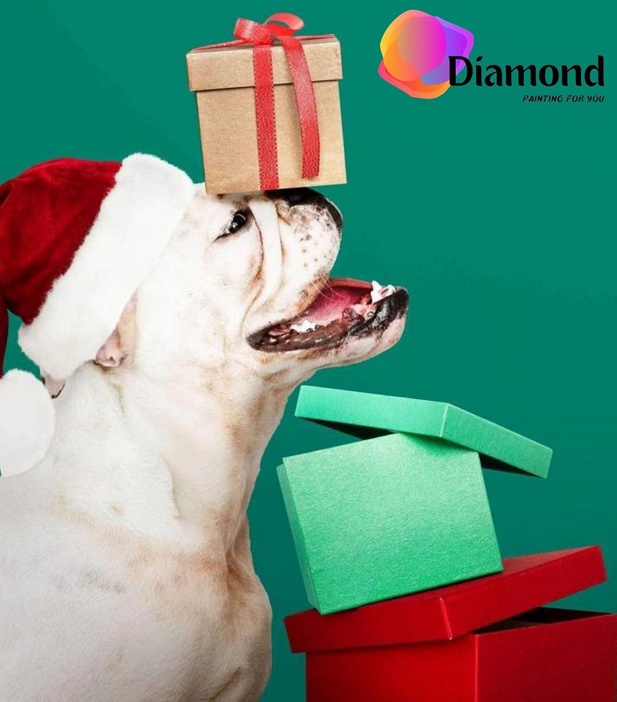 Hond met cadeautjes Diamond Painting for you