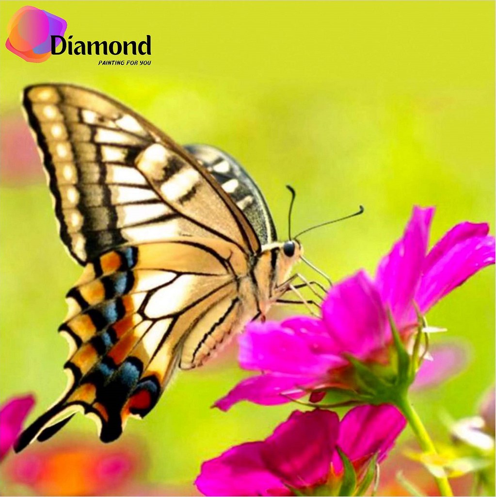 Bruine vlinder op bloem Diamond Painting for you