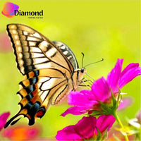 Thumbnail for Bruine vlinder op bloem Diamond Painting for you
