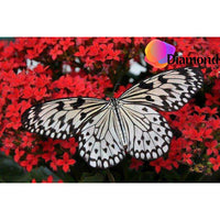 Thumbnail for Vlinder op rode bloemen Diamond Painting for you