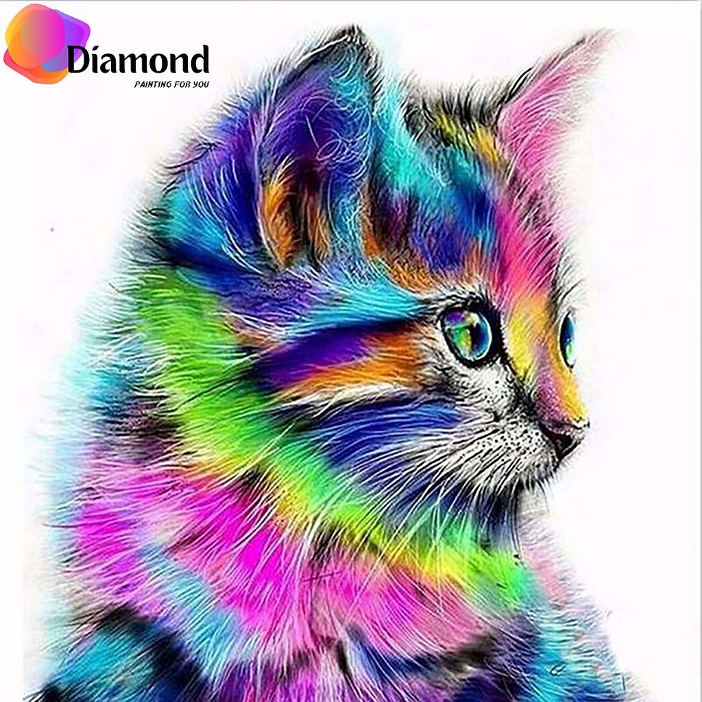Kleurrijke kat Diamond Painting for you