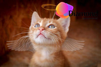 Thumbnail for Katten engel Diamond Painting for you