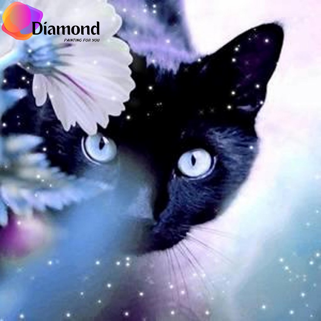 Zwarte Poes Diamond Painting for you