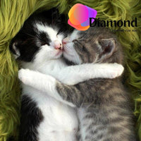 Thumbnail for Knuffelende kittens Diamond Painting for you