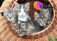 Thumbnail for Kittens in een mand Diamond Painting for you