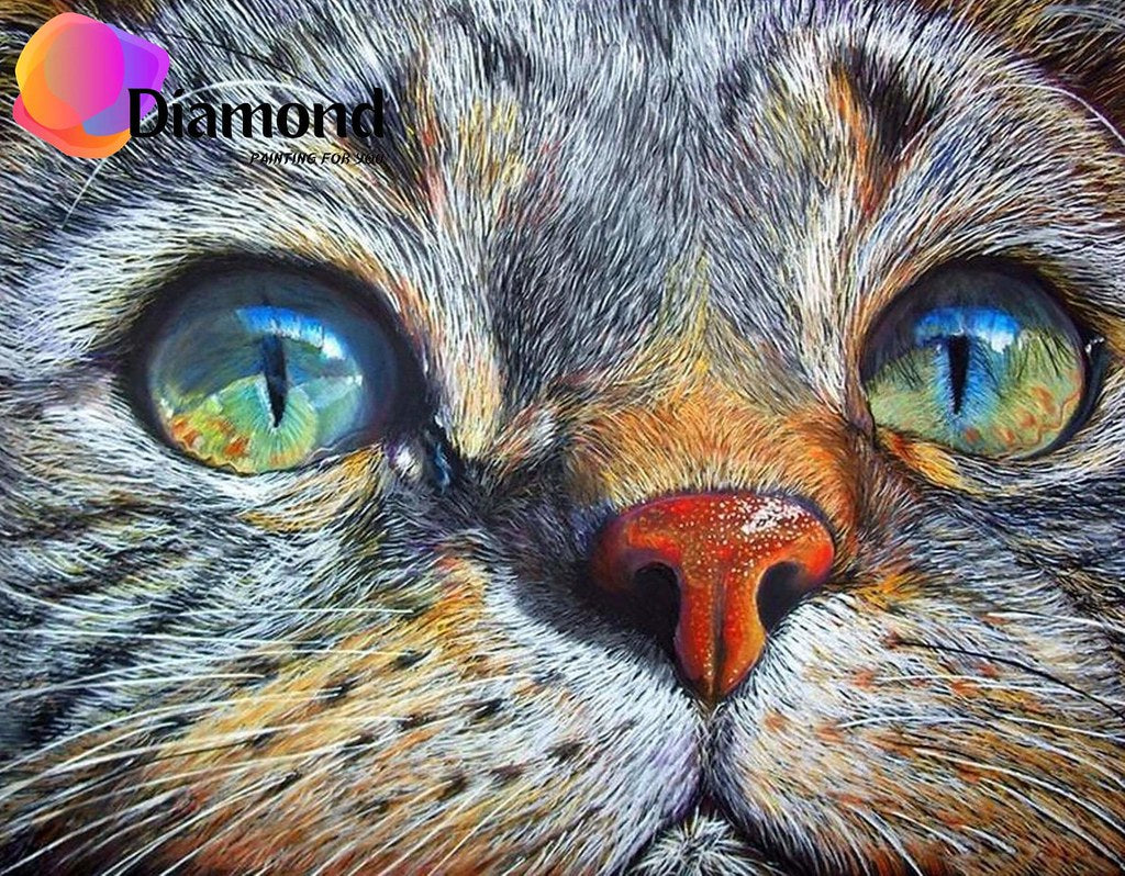 Katten Ogen Diamond Painting for you