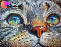 Thumbnail for Katten Ogen Diamond Painting for you