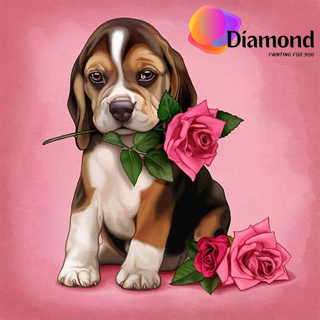 Hondje met roos in zijn bek Diamond Painting for you