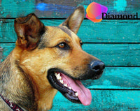 Thumbnail for Hond voor een blauwe schutting Diamond Painting for you